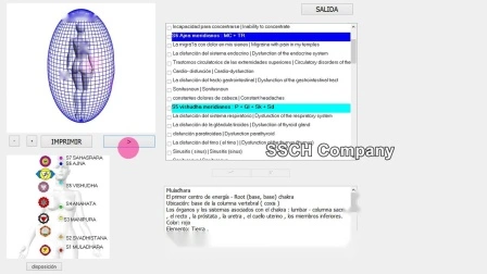 Aura Chakra Machine Physical Health Analyzer