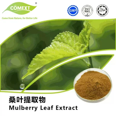 Comext High Quality Natural Plant Morus Alba L. Mulberry Leaf Extract Powder